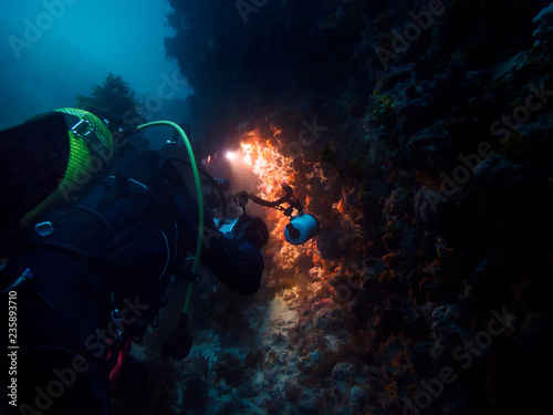Scuba diver taking pictures of marine life