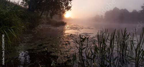 solar beams break through morning fog and branches of trees on the river bank © Dmitry