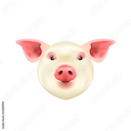 Pig Head Isolated on White Background. Symbol of 2019 Chinese Year of the Pig. Vector Icon.