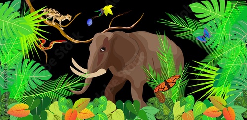 Jungle vector scene, wildlife theme, elephant and wild cat