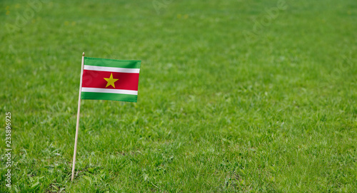 Suriname flag. Photo of Suriname flag on a green grass lawn background. Close up of national flag waving outdoors.