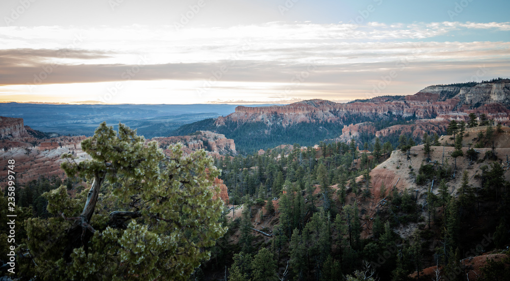 Naklejka premium Bryce Canyon 