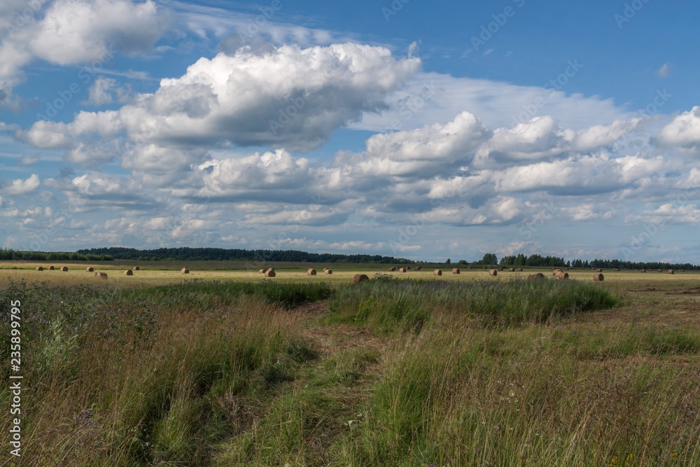 the agricultural field where collect hay with the white clouds floating on the sky
