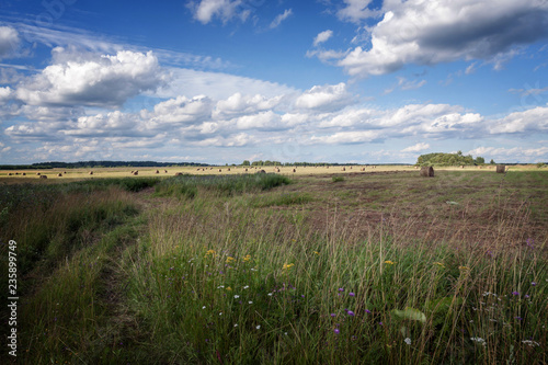 the agricultural field where collect hay with the white clouds floating on the sky