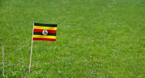 Uganda flag. Photo of Uganda flag on a green grass lawn background. Close up of national flag waving outdoors.