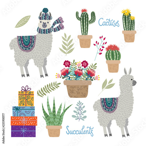 Set of isolated Cute llamas with flowers, cactuses and succulents on a white background, collection elements for your design. Hand drawing flat doodles vector Illustration