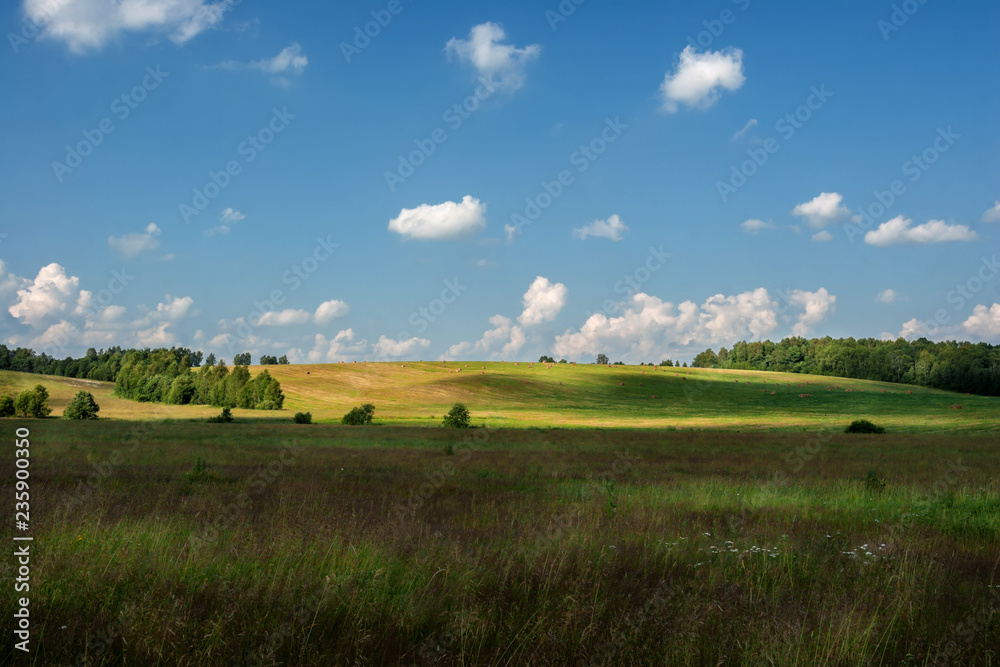 white clouds float on the blue sky over the green agricultural field where harvest hay