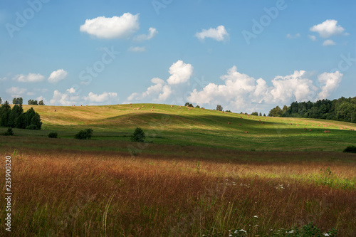 white clouds float on the blue sky over the green agricultural field where harvest hay