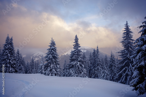 Panorama of winter mountains before storm © sanechka