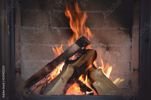 Firewood with a flame on the background of brickwork.