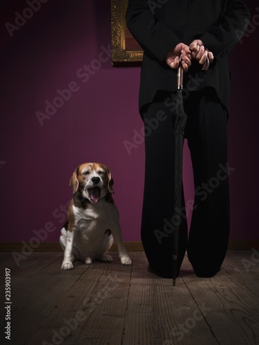 Man and dog at the museum photo