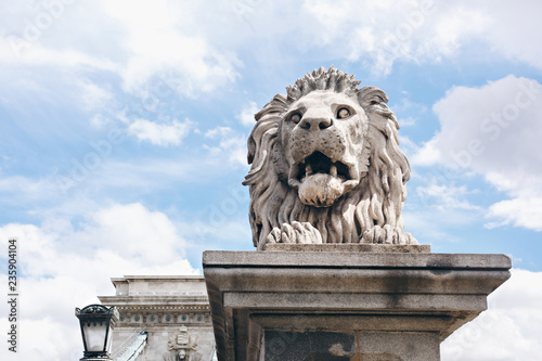 Lion on the Chain Bridge in Budapest, Hungary