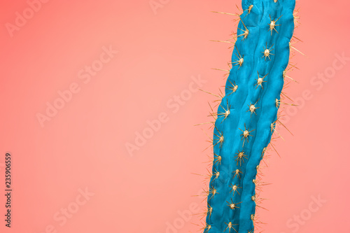 Cactus Fashion Set Design. Minimal Stillife. Trendy Bright Colors. Blue plant on pink background