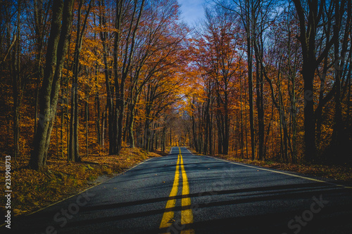 Autumn Drive photo