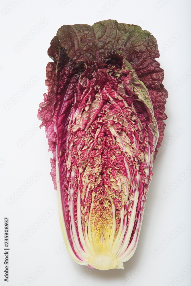 Fototapeta premium Image of purple cabbage