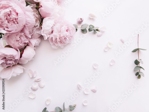 Fototapeta Naklejka Na Ścianę i Meble -  Beautiful, tender fresh blossoming aromatic pink Peony flowers and eucalyptus branches on the white background, top view, flat lay