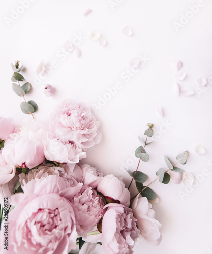 Beautiful, tender fresh blossoming aromatic pink Peony flowers and eucalyptus branches on the white background, top view, flat lay