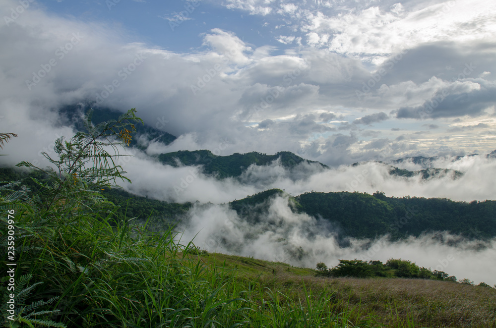 Landscape with sea of foggy awakening in a beautiful hills at Thailand.