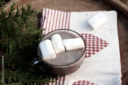 Wooden tray with cocoa drink and marshmallows. One glass cup of cocoa. 