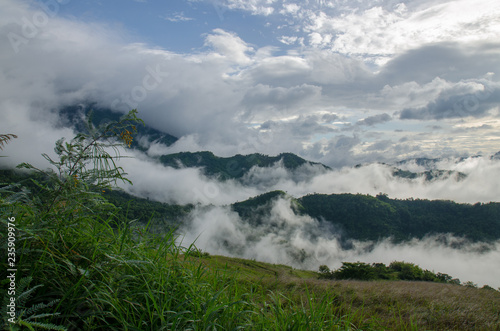 Landscape with sea of foggy awakening in a beautiful hills at Thailand.