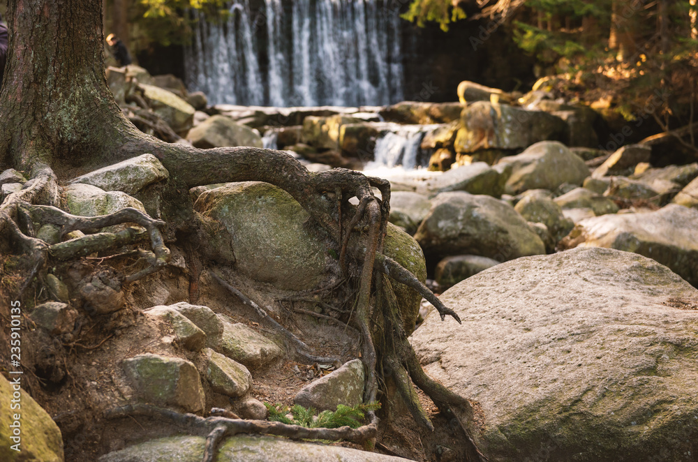 old root intertwined in mountains stones with waterfall on background old root intertwined in mountains stones with waterfall on background