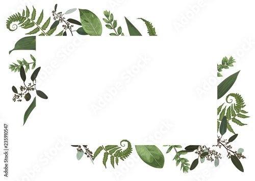 Vector card floral design with green watercolor, eucalyptus, forest fern, herbs, eucalyptus, branches boxwood, buxus, botanical green, decorative horizontal frame, square