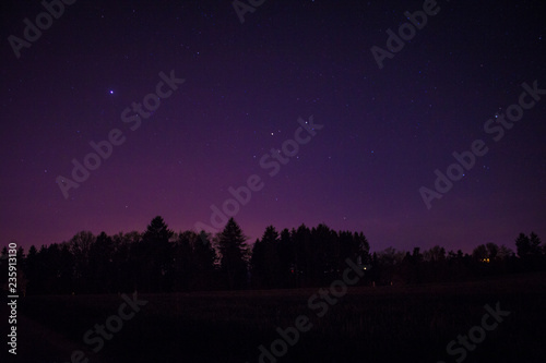 Waldsilhouette mit Sternen