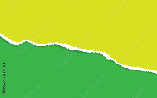 Ripped paper. Vector of ripped paper. the paper was ripped background.