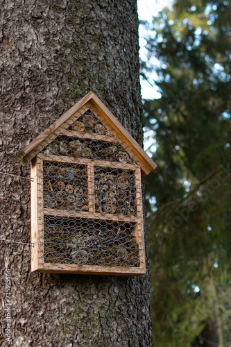 Bug hotel attached to a tree. A place for bugs like bees to rest and hibernate. © Hanna