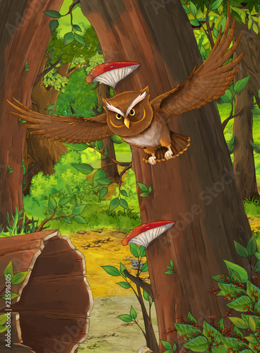 cartoon summer scene with deep forest and bird owl - nobody on scene - illustration for children © honeyflavour
