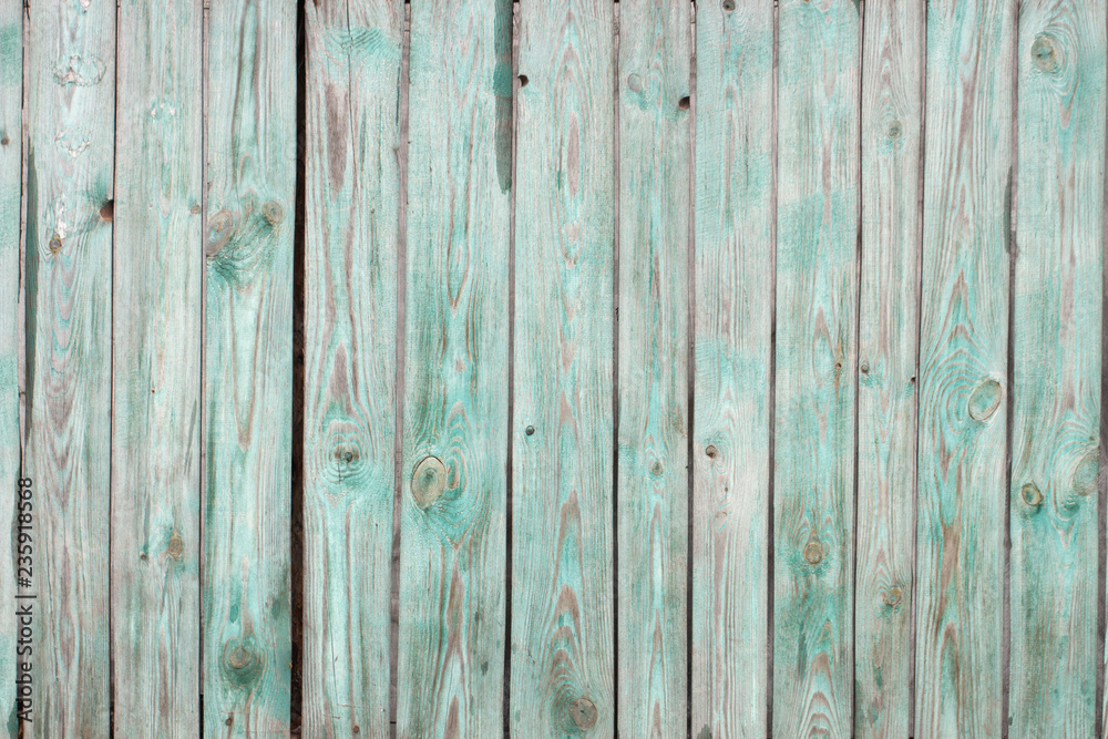 Fototapeta premium The old wooden walls painted green. Old wooden wall background or texture.