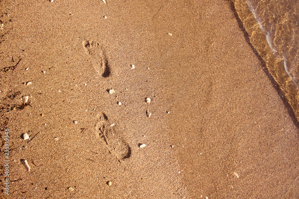 summer sea holidays concept of human foot prints on waterfront shore line sand background texture near waves with empty space for copy or text summer sea holidays concept of human foot prints on waterfront shore line sand background texture near waves with empty space for copy or text