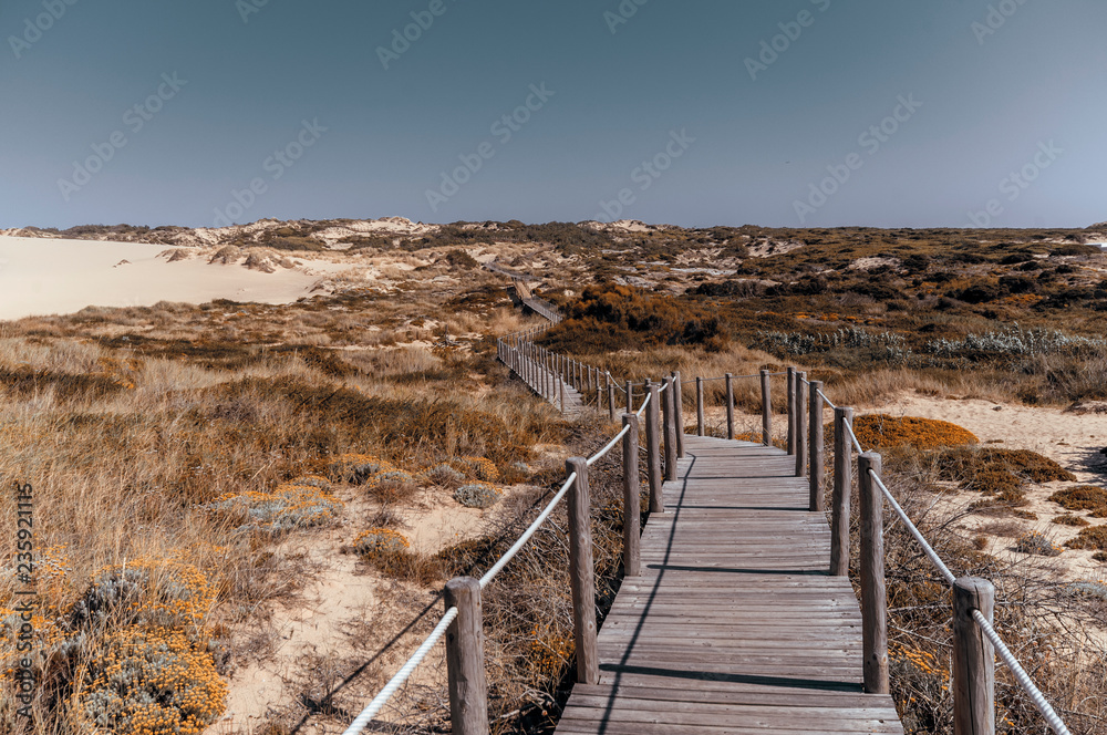 Wooden path on sand dunes