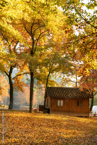 the autumn in the park of Suzhou, China