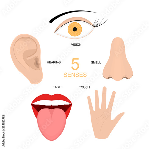 Cartoon Human Senses Signs Icon Set. Vector
