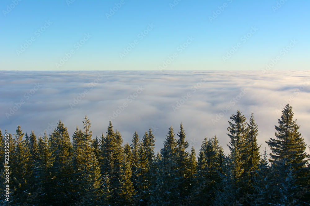 Winter day in the mountains