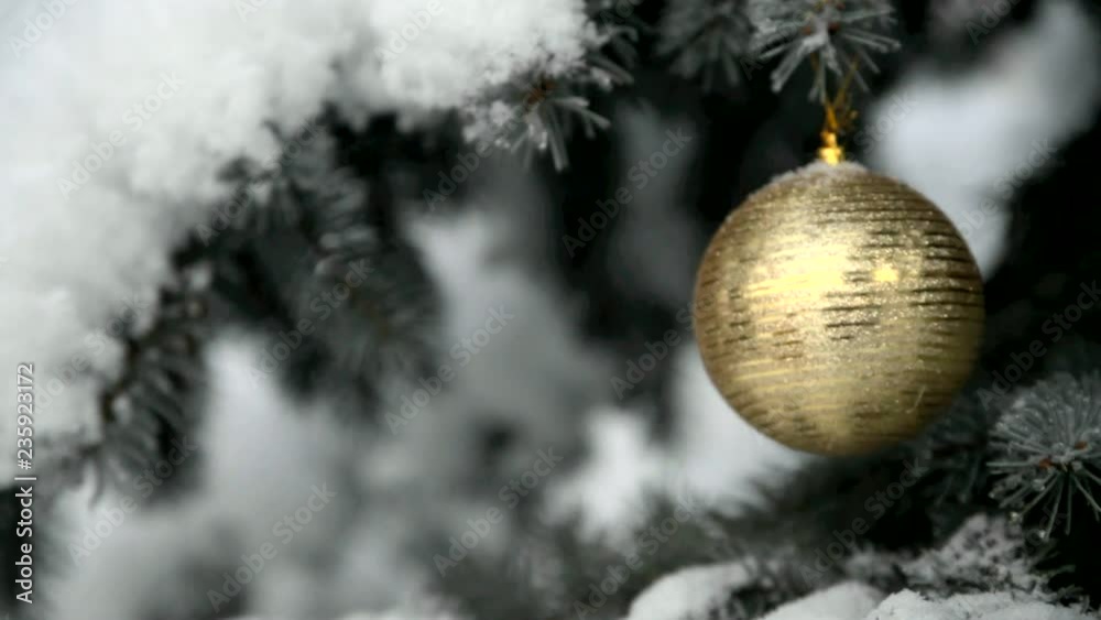 A golden ball hanging on the branches of a snow-covered fir A golden ball hanging on the branches of a snow-covered fir