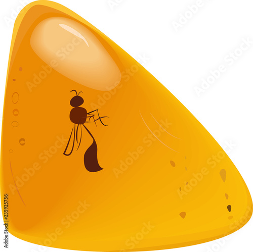 insect or gnat in Yellow amber fossil, isolated vector
