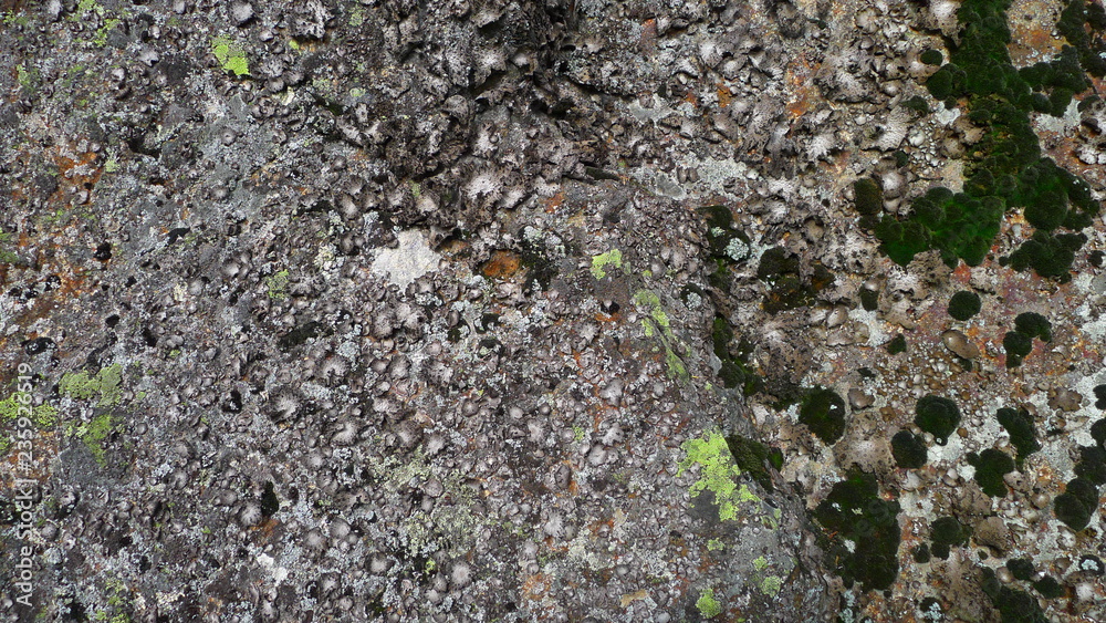 Stone texture 5 Stone texture 5