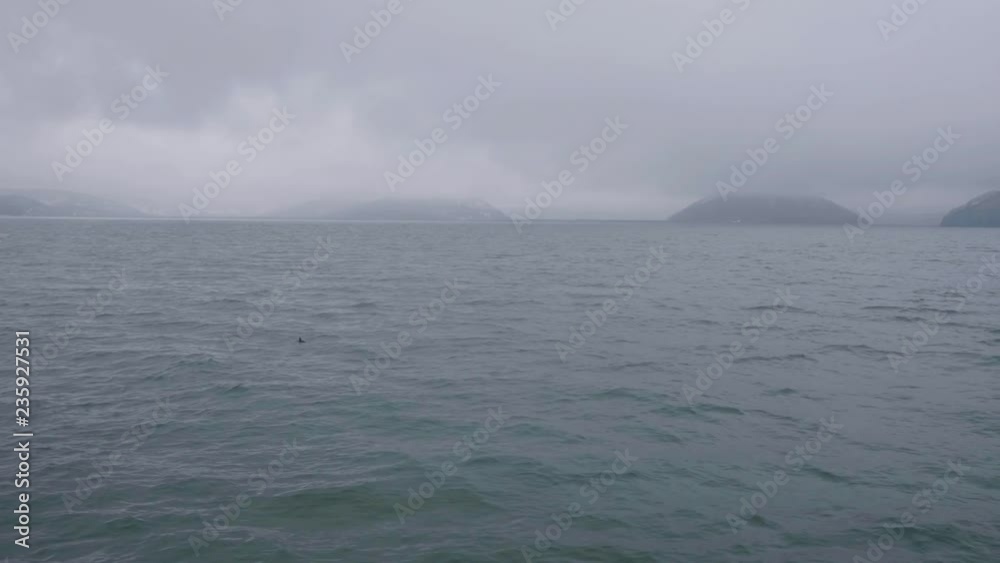 Aerial view ocean water, island on cloudy skyline and sea bird floating in water Aerial view ocean water, island on cloudy skyline and sea bird floating in water