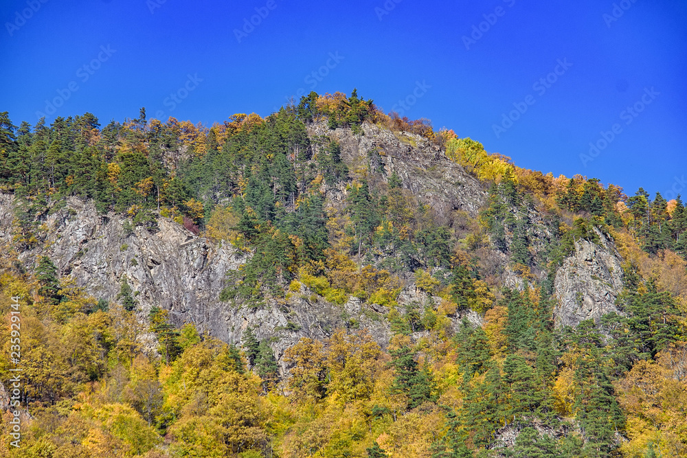 Scenic landscape with mountain forest in fall