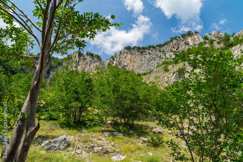 Percorrendo il sentiero nella valle dell'Ambro