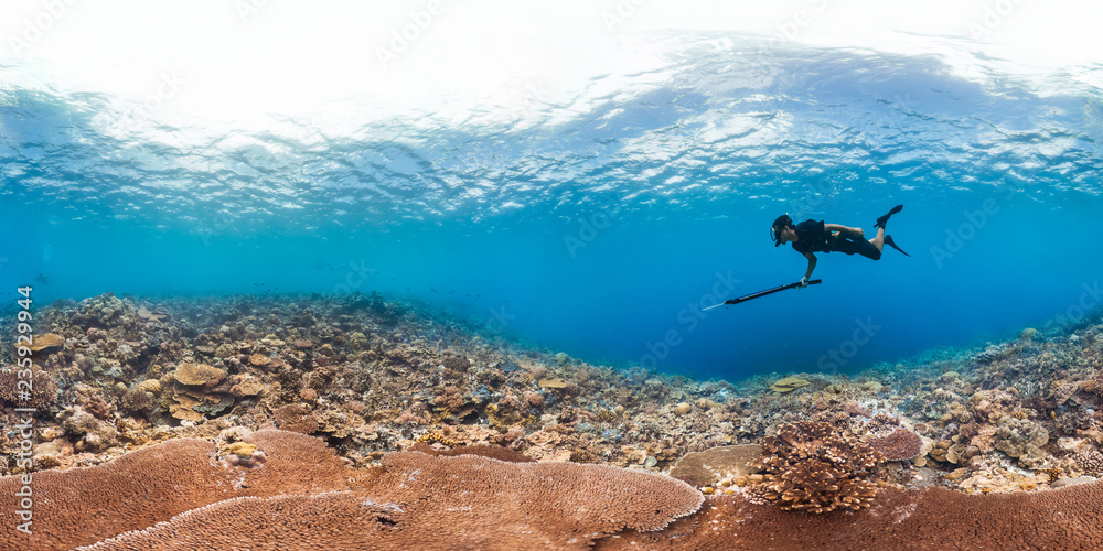 360 of spearfisher on reef - obrazy, fototapety, plakaty 