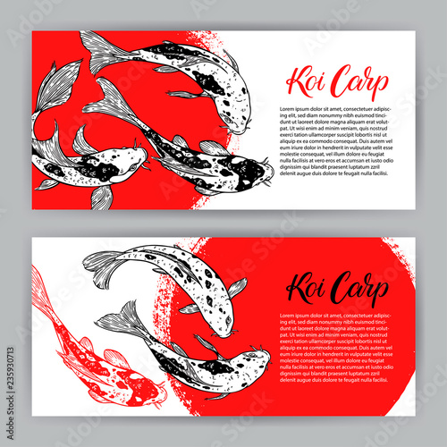 Two card of koi carps