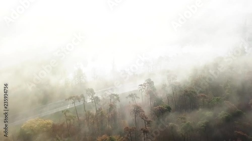 Drohne: Wald und Straße bei Nebel