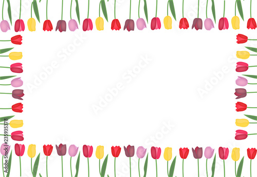 Tulips frame