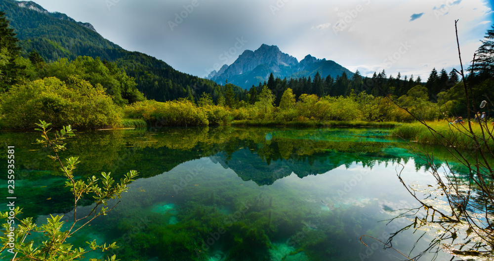 beautiful zelenci springs in slovenia