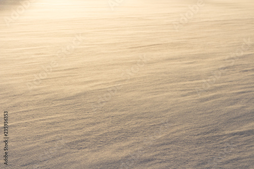 Snow, covered with a crust of Nast, under the sun's rays photo