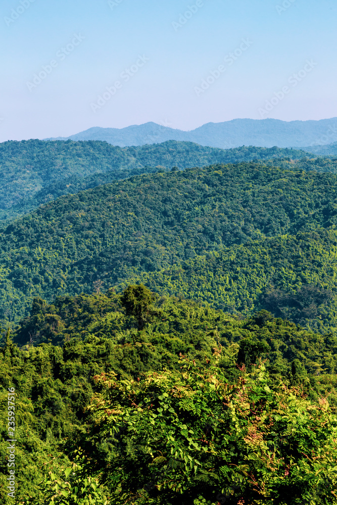 Landscape view of green trees on rain forest mountain in Thailand