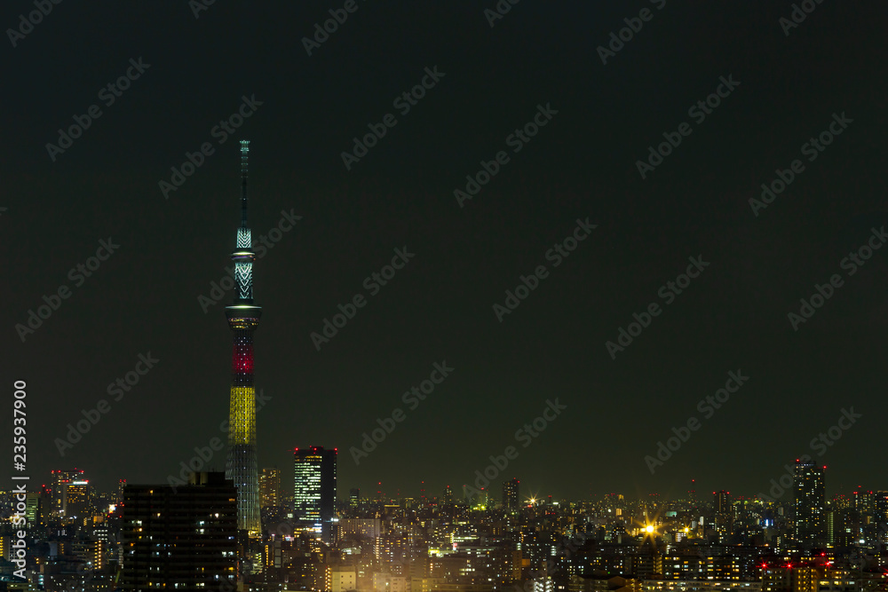 Tokyo skytree tower in Janpan in night light with brigde and building